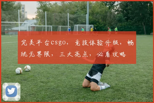 完美平台csgo，竞技体验升级，畅玩无界限，三大亮点，必看攻略